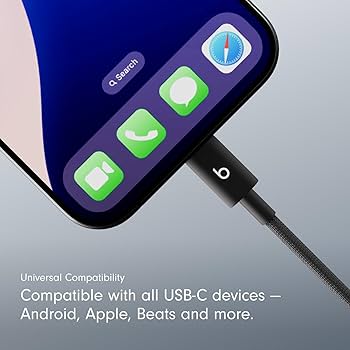 Apple Beats USB-A To USB-C Woven Short Cable (20 Cm) - Bolt Black