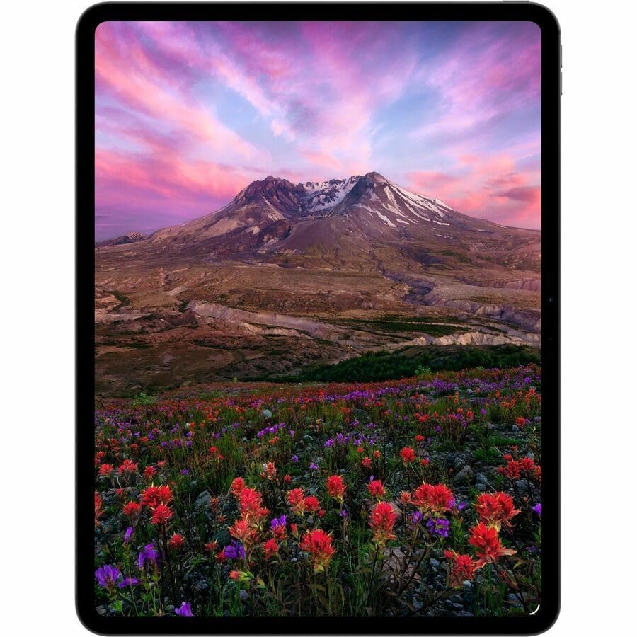 Apple 11-inch Ipad Pro M5 Wi-fi 256GB With Standard Glass - Space Black