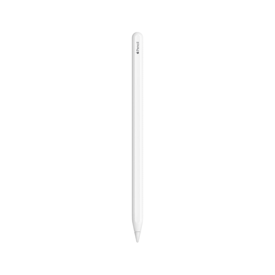 Apple Pencil (1st Generation)