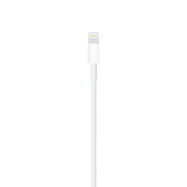 Lightning to USB Cable (1m)