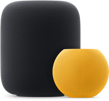 HOMEPOD MINI ORG - Image 2